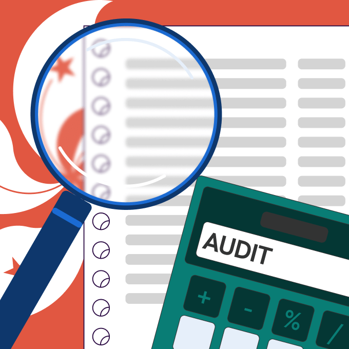 Annual Financial Audit Report Hong Kong Tips & Guide Statrys